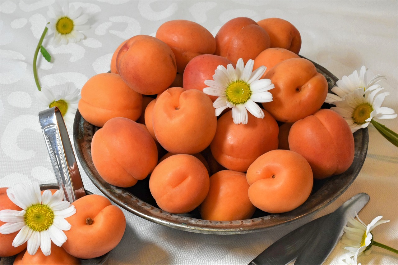 Хвороби абрикоса та персика – засоби і методи боротьби з захворюваннями та шкідниками
