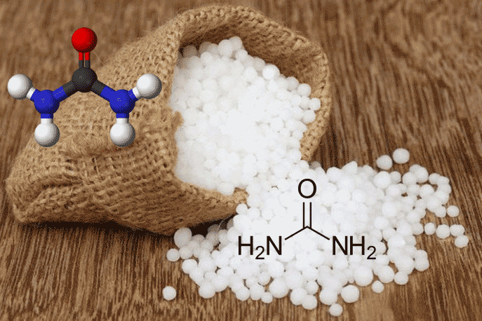 Застосування карбаміду в сільському господарстві
