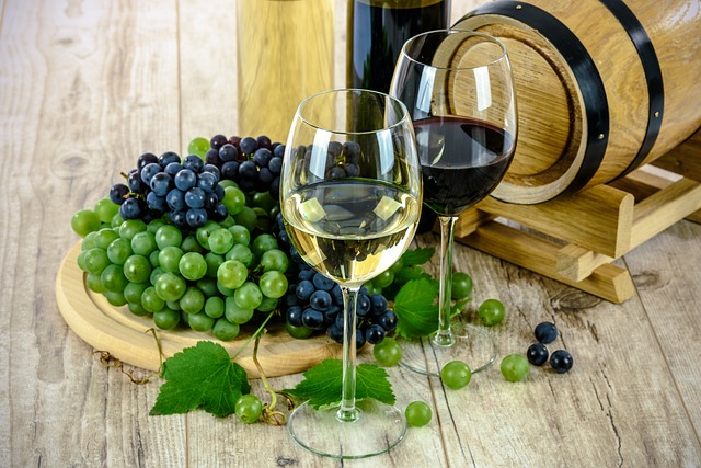 Оидиум винограда: средства для лечения и профилактика мучнистой росы