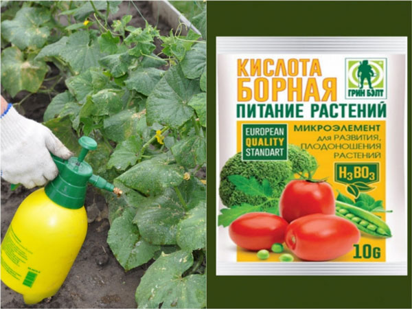 борная кислота удобрения купить