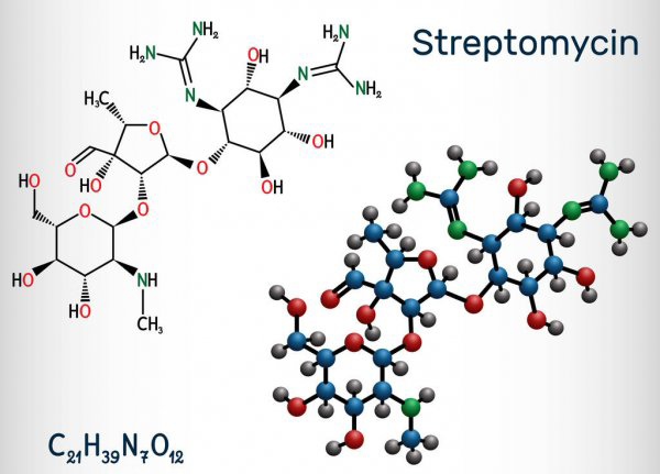 стрептоміцин купити