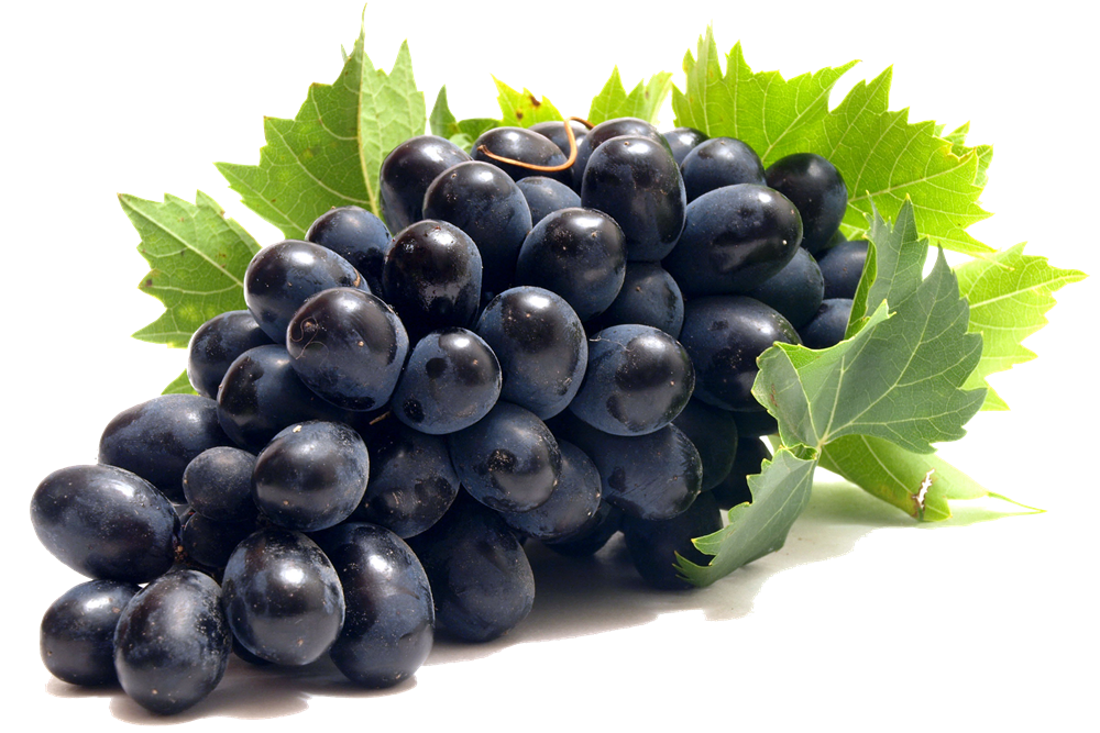 Особенности применения фунгицидов для сада, винограда в борьбе с болезнямирастений